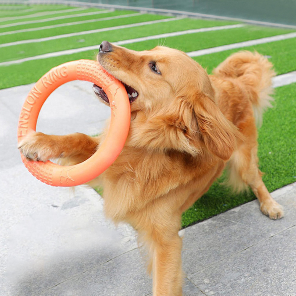 Interactive Squeaky Plush Dog Toy - 반려동물 플라잉 디스크 훈련 링 풀러,