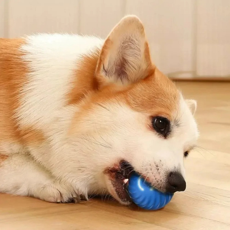 강아지 장난감 공 자동 움직이는 튕기는 롤링볼 USB  - Indestructible Dog Chew Toy 리뷰 및 가격