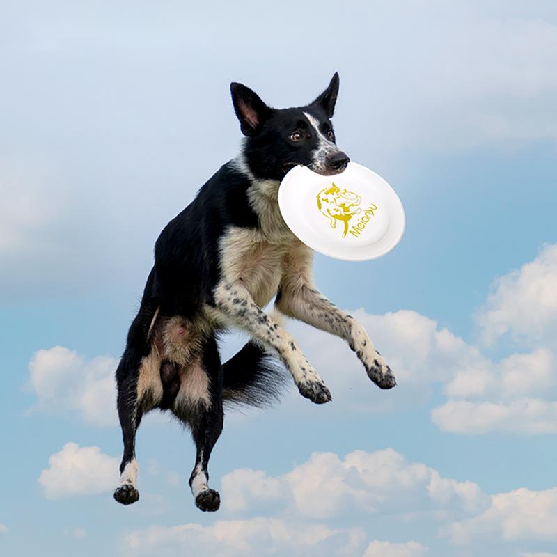 OUZEY 반려동물 물기 방지 훈련 플라잉 디스크 장난 - Flying Disc Dog Training Toy 리뷰 및 가격