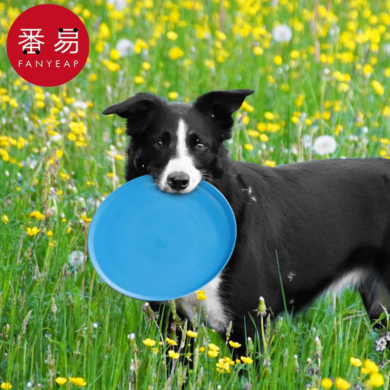 프리스비/애완견 A1-강아지 장난감 던지기 내구성 훈련 - Flying Disc Dog Training Toy 리뷰 및 가격
